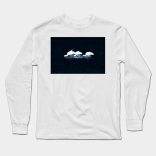 Three bright white Royal spoonbill birds heads down searching for food Long Sleeve T-Shirt